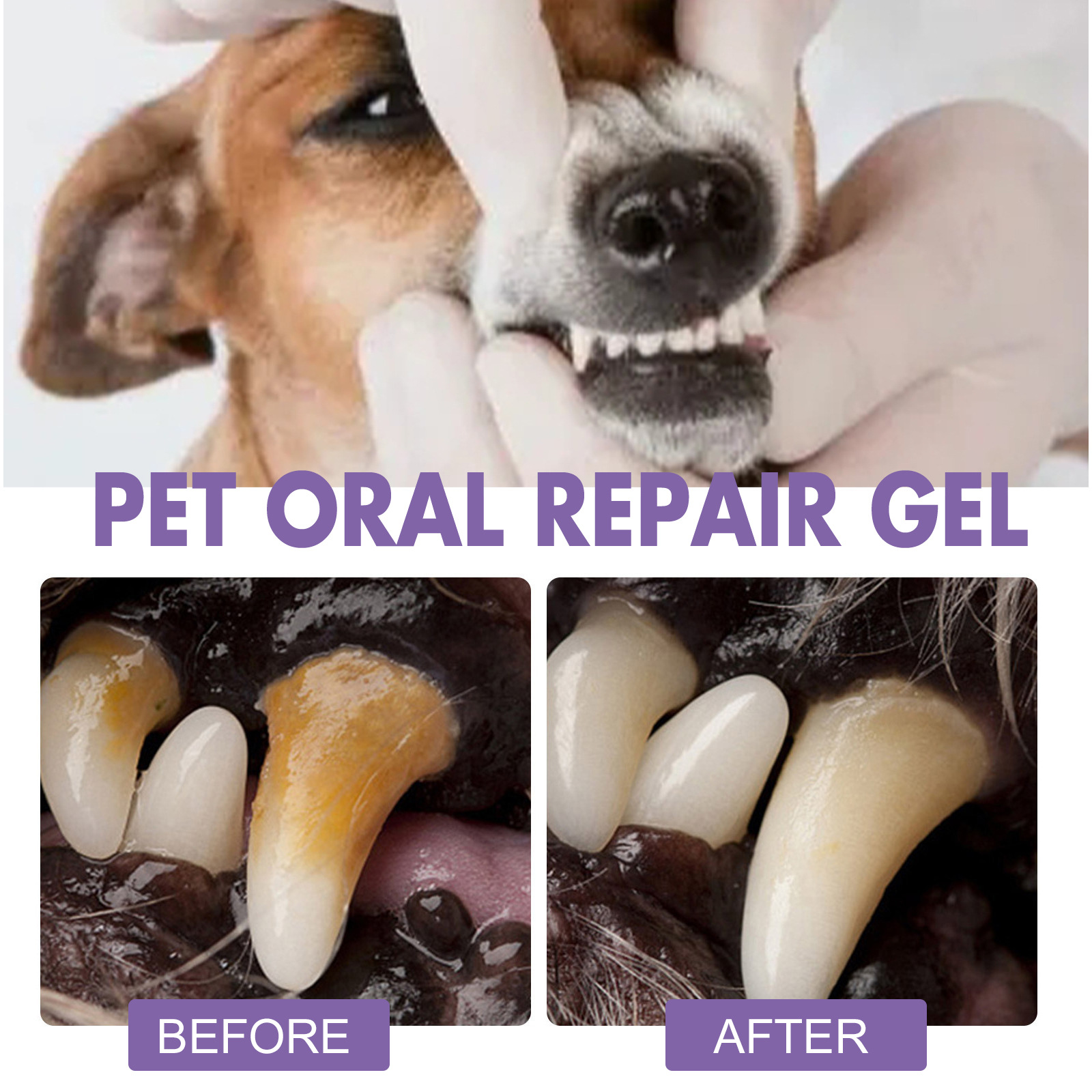 Pet Oral Repair Gel Welpen Zah – Teeth Whitening Paste Bewertung und Preis