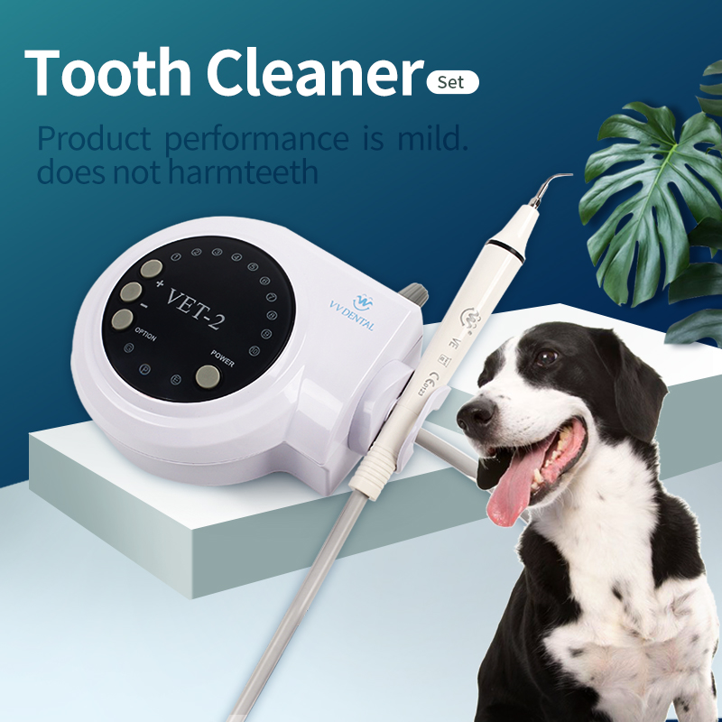 Ultraschall-Zahnsteinentferner – Teeth Whitening Tips Bewertung und Preis